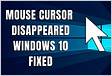 Top 8 Ways to Fix Mouse Cursor Not Showing on Windows 1